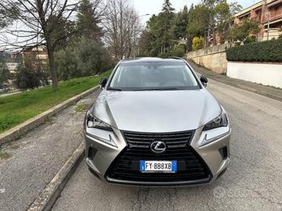 LEXUS NX 2.5 H 4WD Sport anno 2020