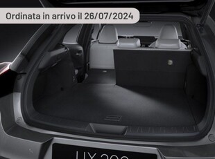 LEXUS UX Full Electric UX 300h 4WD Luxury Elettrica/Benzina