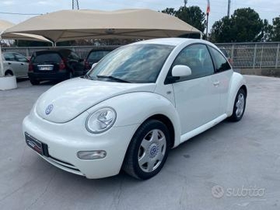Volkswagen New Beetle 2.0cc