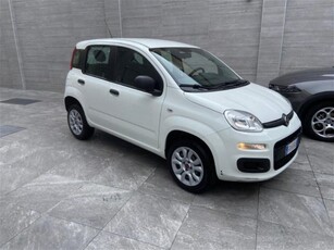 Fiat Panda 0.9 TwinAir Turbo Natural Power Easy usato