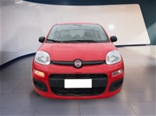 Fiat Panda 1.0 firefly hybrid s&s 70cv 5p.ti del 2021 usata a Torino