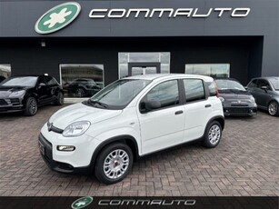 Fiat Panda 1.0 firefly hybrid s&s 70cv 5p.ti nuovo