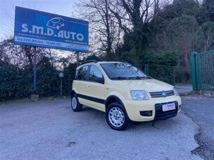 Fiat Panda 1.2 4x4 Climbing usato