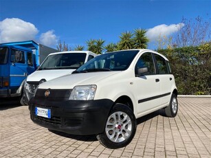 Fiat Panda 1.2 4x4 Climbing usato