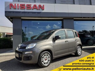 Fiat Panda 1.2 Active EasyPower usato