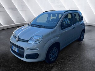 Fiat Panda 1.2 Easy usato