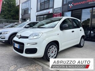 Fiat Panda 1.2 Easy usato