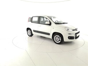 Fiat Panda 1.2 Lounge usato