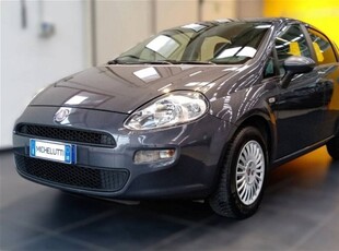 Fiat Punto 1.2 8V 5 porte Street usato