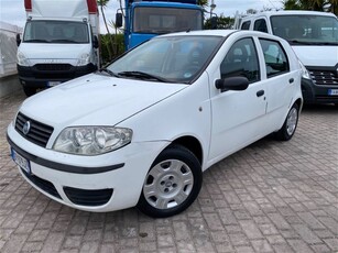 Fiat Punto 1.2i cat 5 porte Feel usato