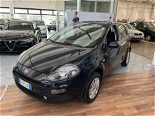 Fiat Punto 1.4 8V 5 porte Natural Power Lounge del 2015 usata a Vignola