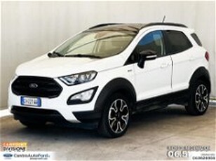 Ford EcoSport 1.0 EcoBoost 125 CV Start&Stop Active del 2022 usata a Albano Laziale