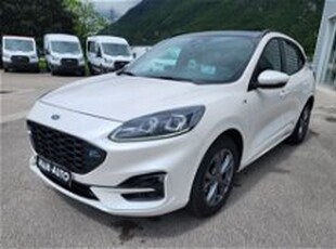 Ford Kuga 1.5 EcoBoost 150 CV 2WD ST-Line del 2021 usata a Belluno