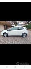 Punto neopatentati