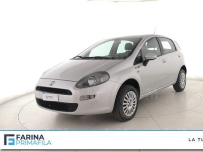 Fiat Punto 1.4 8V 5 porte Natural Power Young del 2015 usata a Marcianise