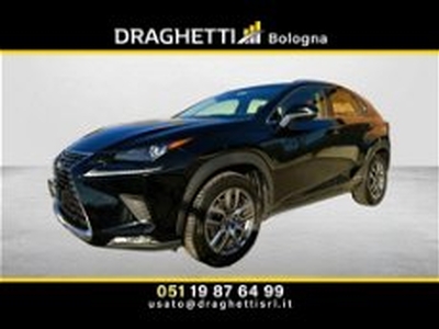 Lexus NX Hybrid 4WD Luxury del 2018 usata a Bologna