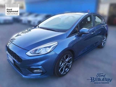 Ford Fiesta 7ª serie 1.0 Ecoboost 95 CV 5 porte ST-Line da Blubay .