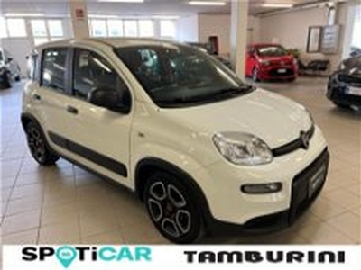 Fiat Panda 1.0 FireFly S&S Hybrid City Cross del 2022 usata a Arezzo