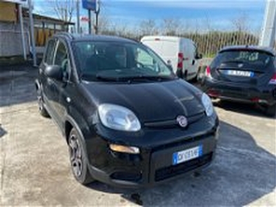 Fiat Panda 1.0 FireFly S&S Hybrid City Cross del 2022 usata a Caserta