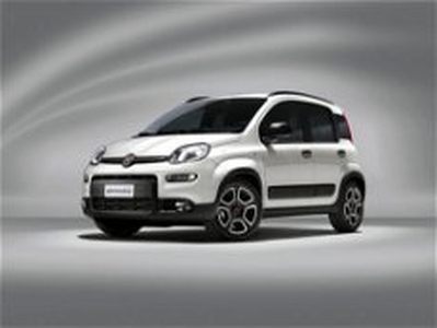 Fiat Panda 1.0 firefly hybrid s&s 70cv 5p.ti del 2022 usata a Corciano