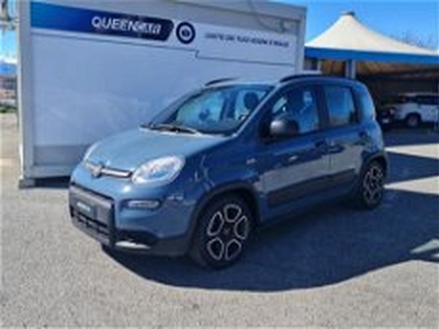 Fiat Panda 1.0 FireFly S&S Hybrid City Cross del 2022 usata a Pianezza