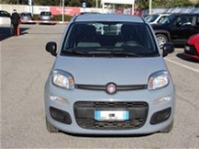 Fiat Panda 1.2 Active EasyPower del 2022 usata a Roma