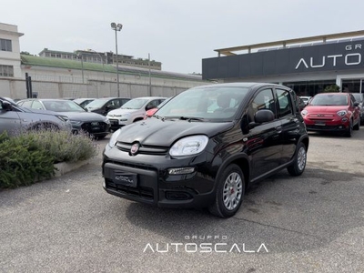 FIAT New Panda 1.2 69cv GPL EasyPower Easy