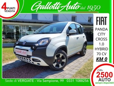 Fiat Panda 1.0 FireFly S&S Hybrid City Cross nuovo