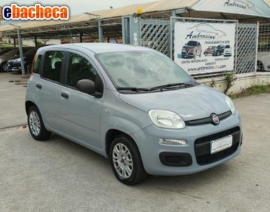 Fiat - panda - 1.2 easy