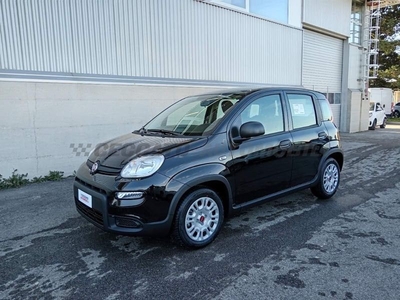 FIAT Panda My24 1.0 70cv Hybrid Panda