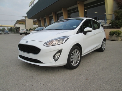 Ford Fiesta 1.1 75 CV 5 porte Business usato