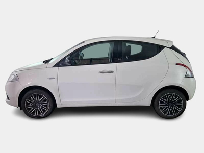 Lancia Ypsilon Ibrida Usata