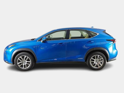 Lexus Nx 300h Ibrida Usata