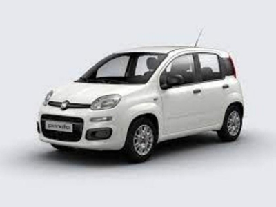 Fiat Panda My24 1.0 70cv Hybrid Panda Km 0