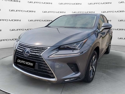 Lexus NX 300 h 145 kW