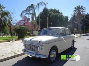 FIAT 1100 D SPECIAL TUA DA ? 144,00 AL MESE ANTICIPO 0? Benzina