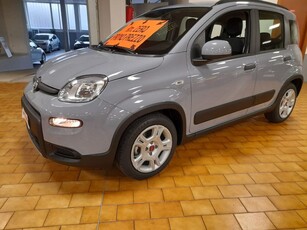 Fiat Panda 1.0