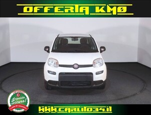 Fiat Panda 1.0