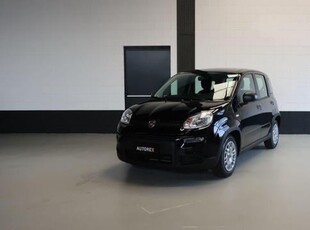 FIAT Panda 1.0 FireFly S&S Hybrid per neopatentati Elettrica/Benzina