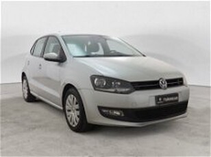 Volkswagen Polo 1.6 TDI 90CV DPF 5 porte Comfortline del 2014 usata a Torino