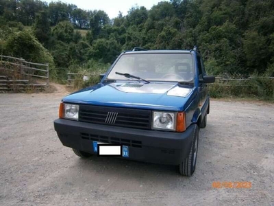 Usato 1999 Fiat Panda 4x4 1.1 Benzin 54 CV (11.000 €)