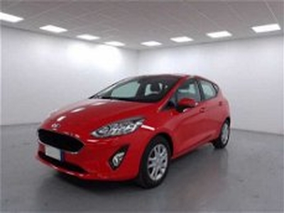 Ford Fiesta 1.1 75 CV GPL 5 porte Plus del 2019 usata a Cuneo