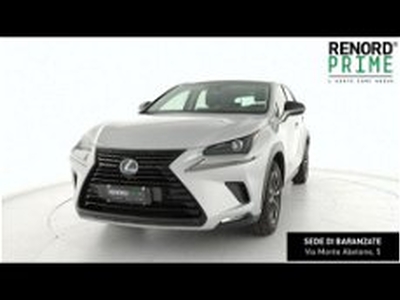 Lexus NX Hybrid 4WD Sport del 2019 usata a Sesto San Giovanni