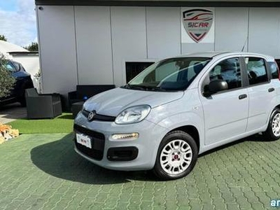 Fiat Panda 1.2 Business Napoli