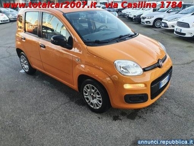 Fiat Panda 1.3 MJT 95 CV S&S Easy Roma