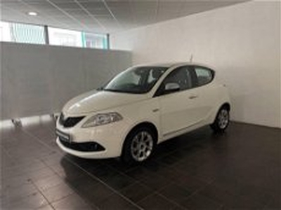 Lancia Ypsilon 1.2 69 CV 5 porte GPL Ecochic Gold del 2020 usata a Torino