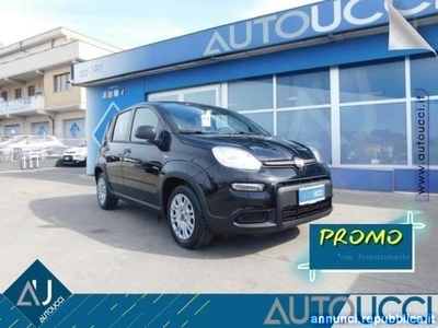 Fiat Panda 1.0 FireFly S&S Hybrid Ardea