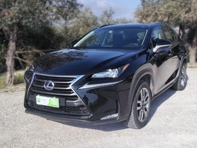 Lexus NX Hybrid 4WD