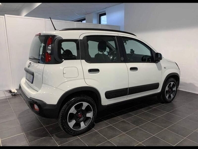 Usato 2020 Fiat Panda Cross 1.2 Benzin 69 CV (15.900 €)