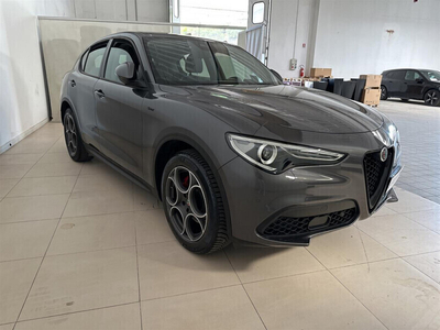 Usato 2021 Alfa Romeo Stelvio 2.2 Diesel 190 CV (39.100 €)